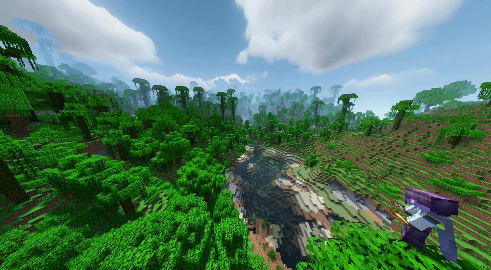 Minecraft image player standing top of jungle tree